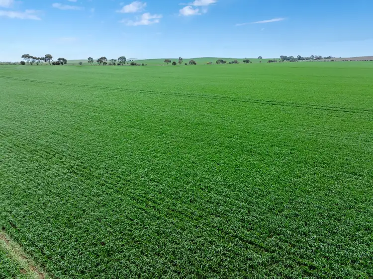 Second view of Homely rural property listing, 'Toringa' Toringa Road, Farrell Flat SA 5416