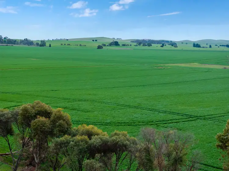 Seventh view of Homely rural property listing, 'Toringa' Toringa Road, Farrell Flat SA 5416