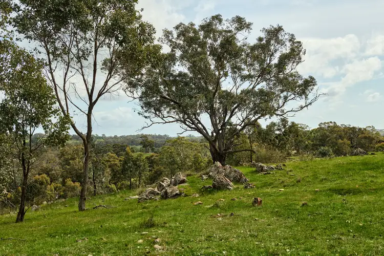 Third view of Homely land listing, 545 Spring Flat Road, Heathcote VIC 3523