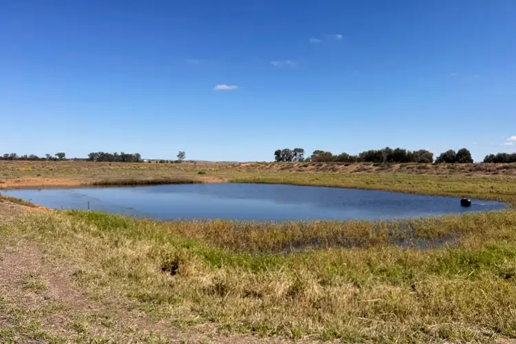 Sixth view of Homely rural property listing, 450 Orange Creek Road, Biloela QLD 4715