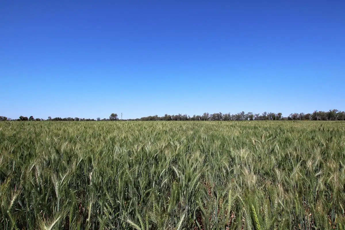 Main view of Homely rural property listing, "Edenbelle" Lake Pleasant Road, Goovigen QLD 4702