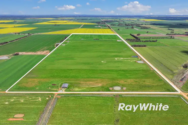 Second view of Homely rural property listing, _ Restdown Road, Echuca West VIC 3564