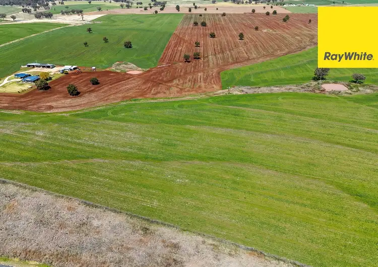 Second view of Homely rural property listing, 11 Delungra Bypass Road, Inverell NSW 2360