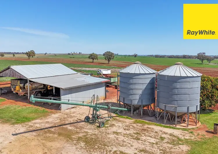 Third view of Homely rural property listing, 11 Delungra Bypass Road, Inverell NSW 2360