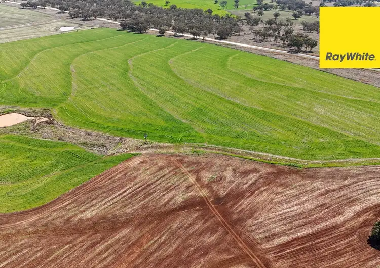 Fourth view of Homely rural property listing, 11 Delungra Bypass Road, Inverell NSW 2360