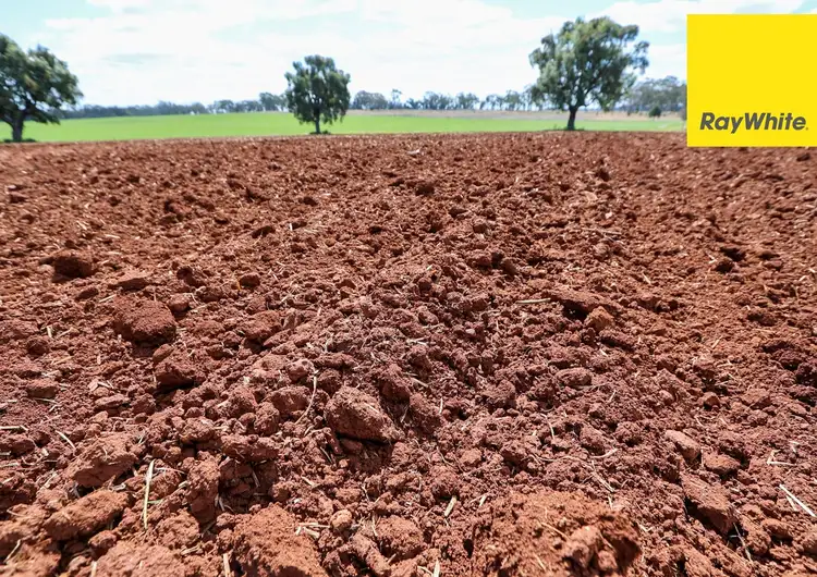 Fifth view of Homely rural property listing, 11 Delungra Bypass Road, Inverell NSW 2360