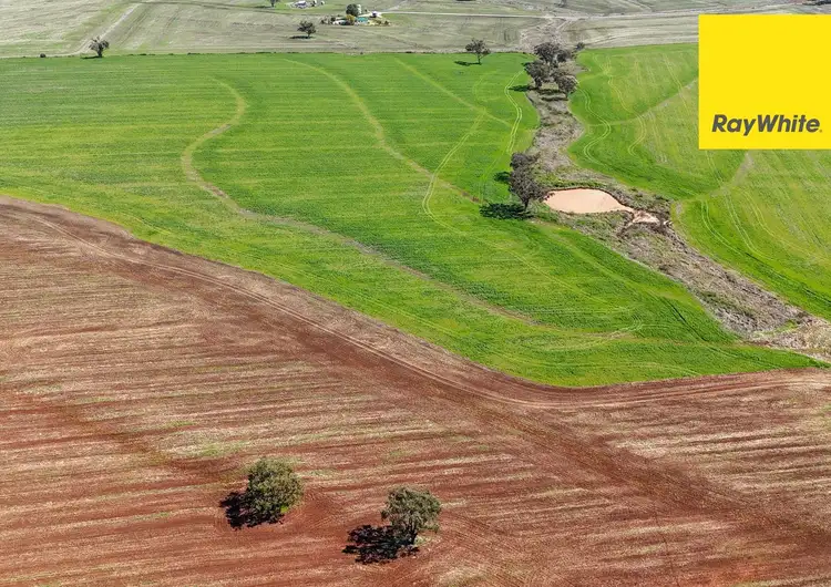 Sixth view of Homely rural property listing, 11 Delungra Bypass Road, Inverell NSW 2360