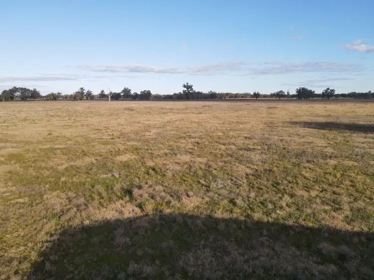 Third view of Homely rural property listing, Part Troubalgie Littles Road, Forbes NSW 2871