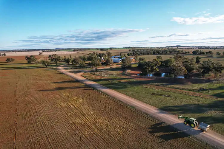 "Tamba" 1087 Burkes Road, Ootha NSW 2875