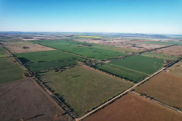 Second view of Homely rural property listing, "The Gums" 962 Burkes Road, Ootha NSW 2875