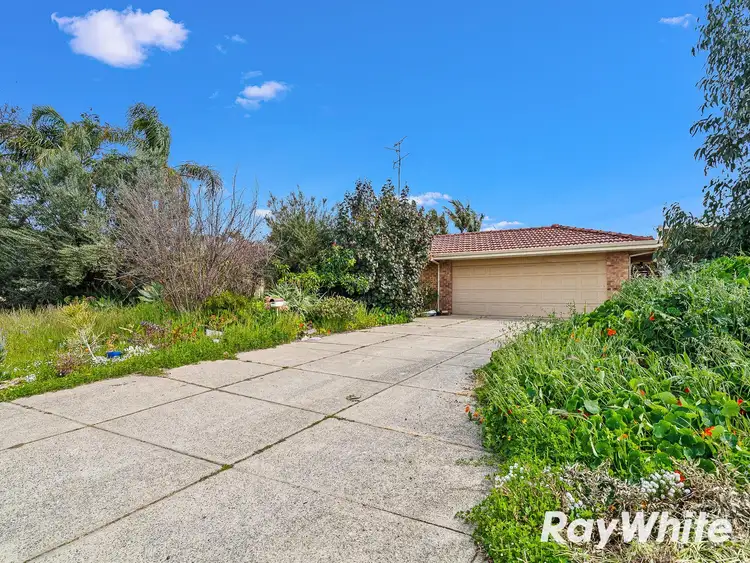 Second view of Homely house listing, 39 Honeysuckle Ramble, Halls Head WA 6210