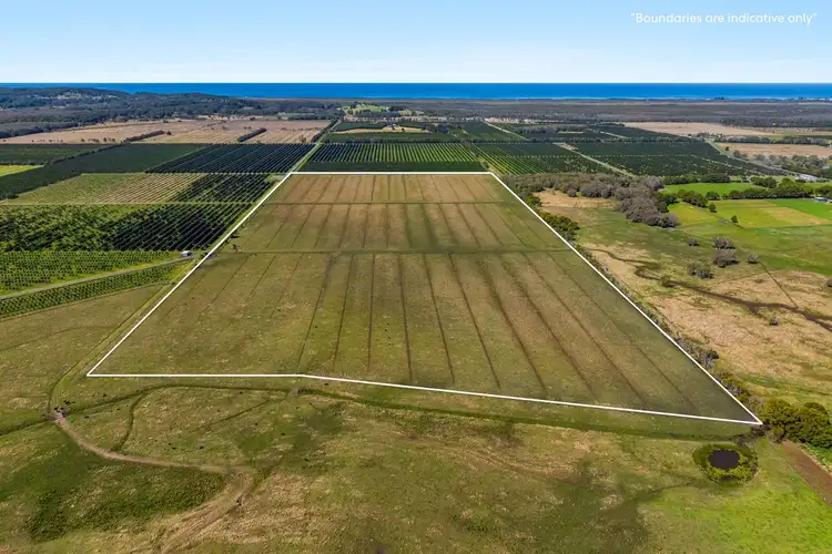 Third view of Homely rural property listing, 5 Martins Lane, Knockrow NSW 2479