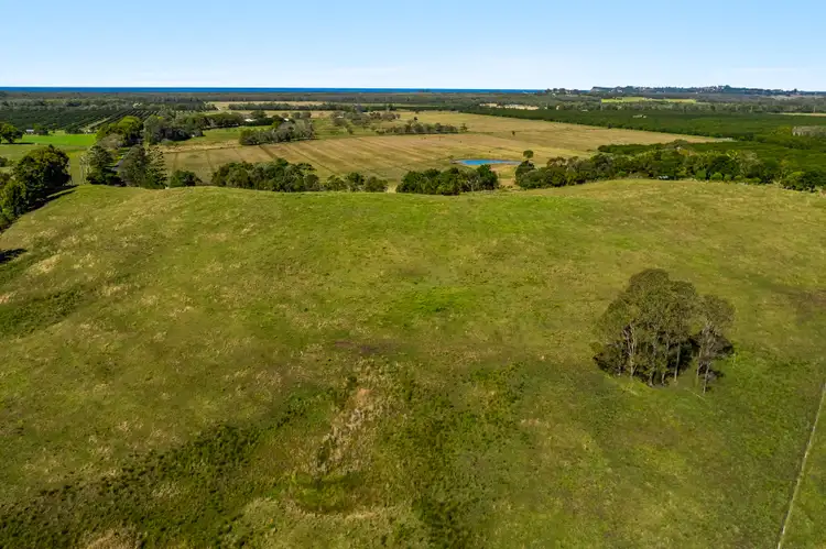 Fifth view of Homely rural property listing, 5 Martins Lane, Knockrow NSW 2479