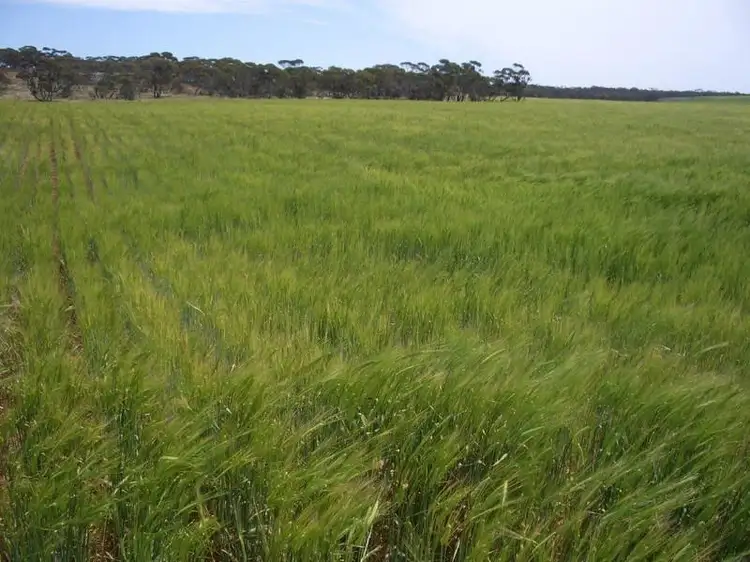 Sixth view of Homely rural property listing, 3803 Goondoloo Road, Halidon SA 5309