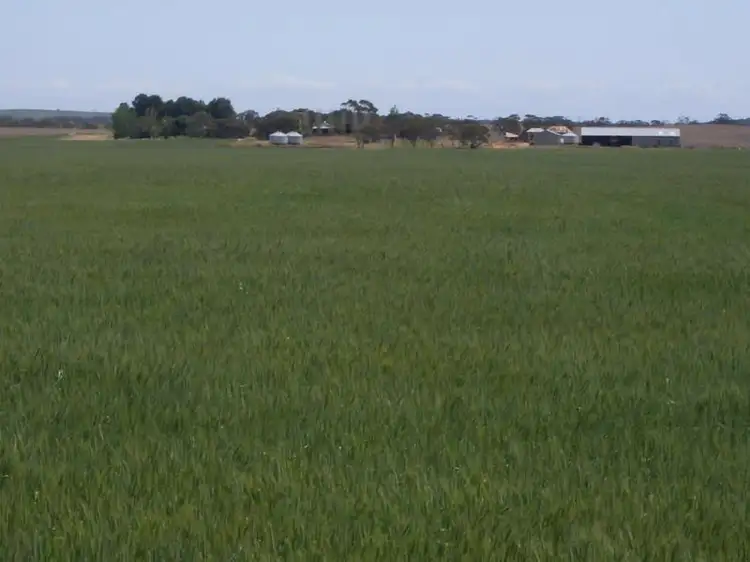 Seventh view of Homely rural property listing, 3803 Goondoloo Road, Halidon SA 5309