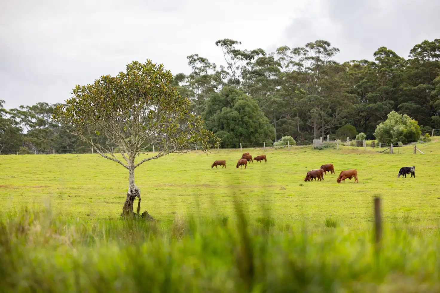 Main view of Homely land listing, 378 Curramore Road, Curramore QLD 4552