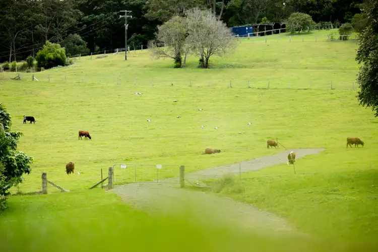 Second view of Homely land listing, 378 Curramore Road, Curramore QLD 4552