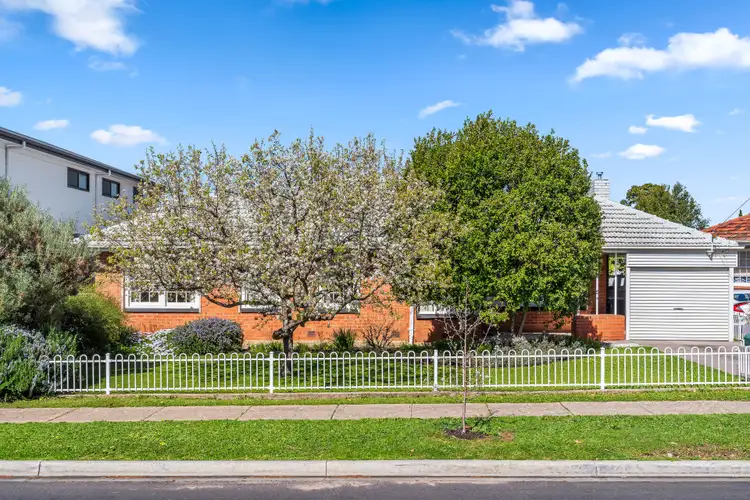 11 Rex Avenue, Klemzig SA 5087
