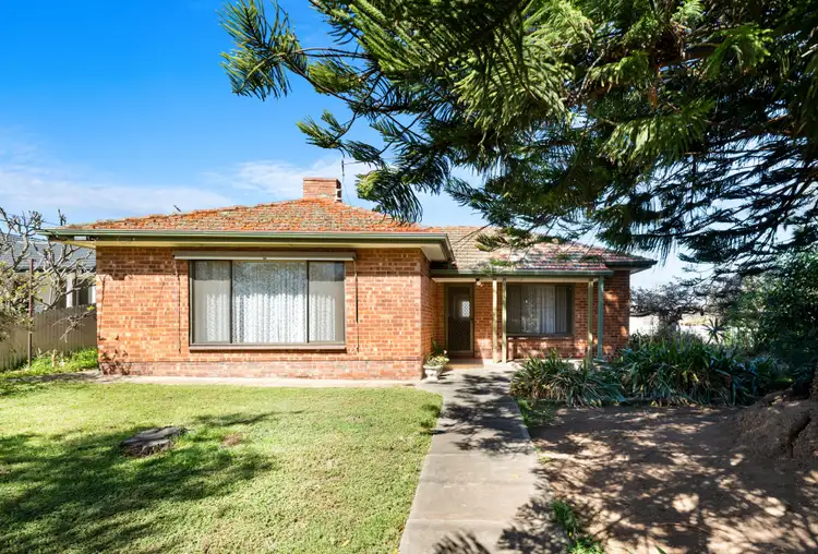 11 Selkirk Avenue, Clearview SA 5085