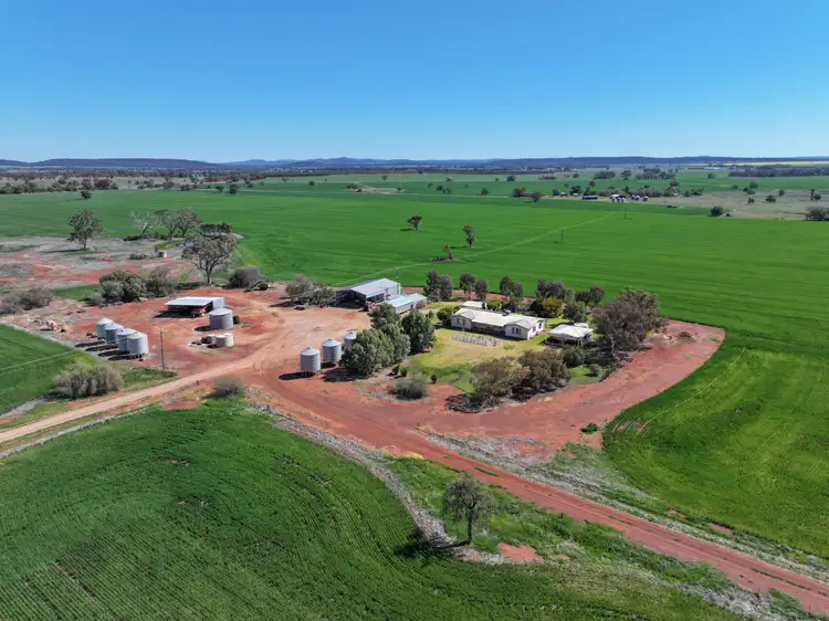 2666 Henry Parkes Way, Gunningbland NSW 2876
