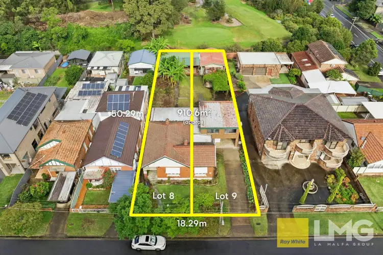 10a Leila Street, Berala NSW 2141