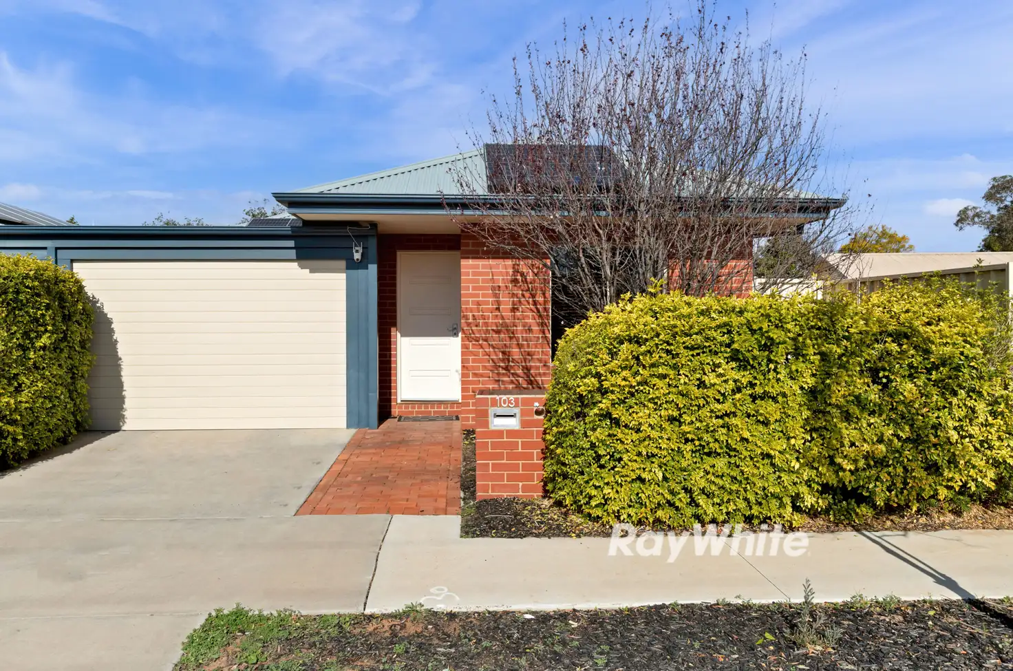 Main view of Homely house listing, 103 Hawthorn Grove, Mildura VIC 3500