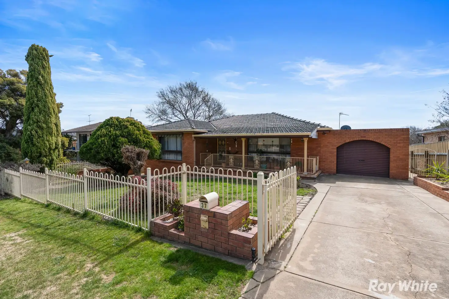 Main view of Homely house listing, 37 Alexander Street, Wagga Wagga NSW 2650