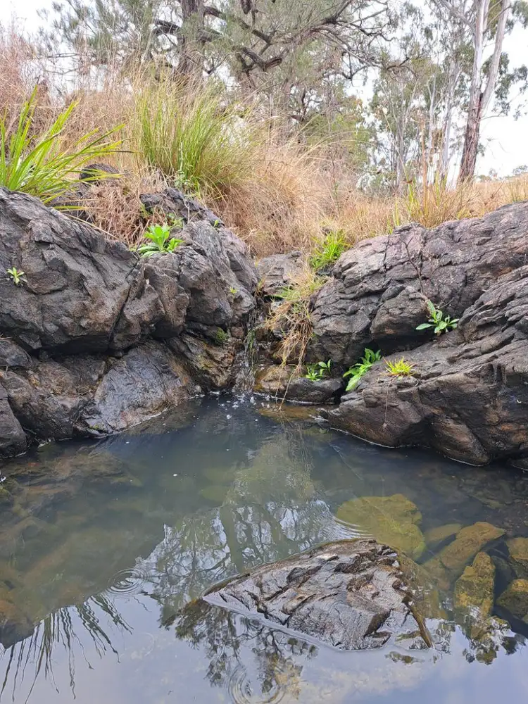 Fourth view of Homely rural property listing, "Canal Creek" Toowoomba Karara Road, Karara QLD 4352