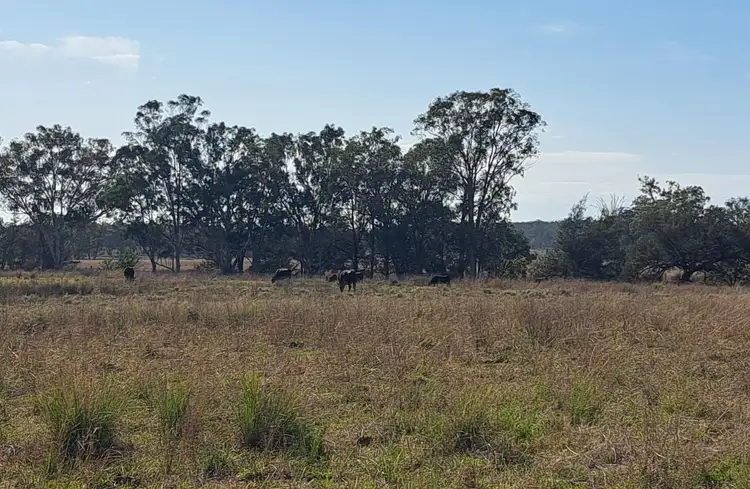 Sixth view of Homely rural property listing, "Canal Creek" Toowoomba Karara Road, Karara QLD 4352