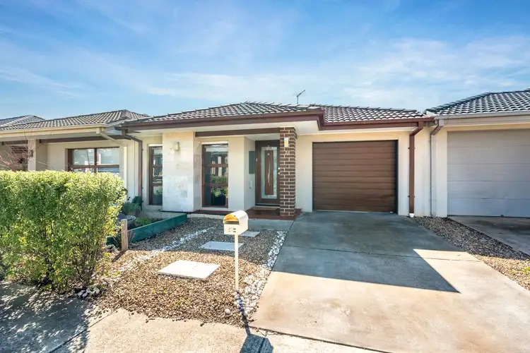 35 Friesian Street