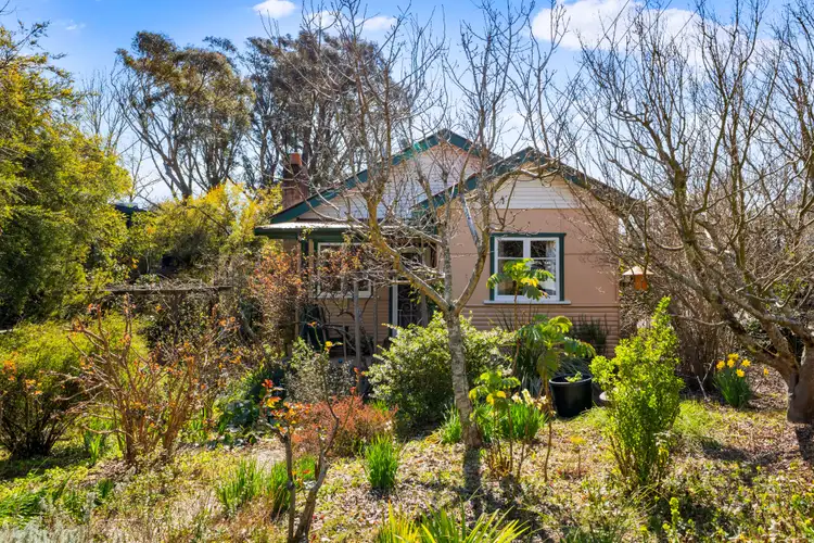 19 Neate Aveue, Blackheath NSW 2785