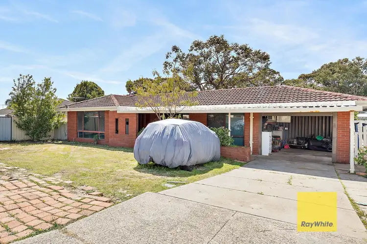 Second view of Homely house listing, 11 Elliot Place, Thornlie WA 6108