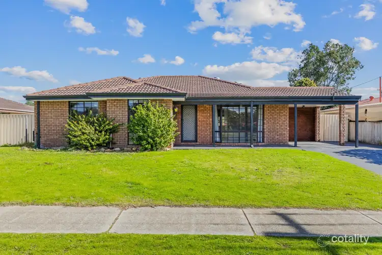 77 Ewart Street, Midland WA 6056