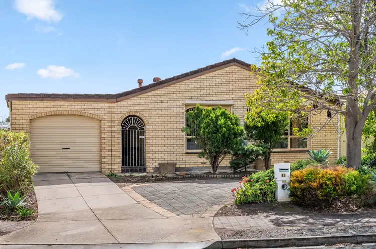 19 Richland Road, Newton SA 5074