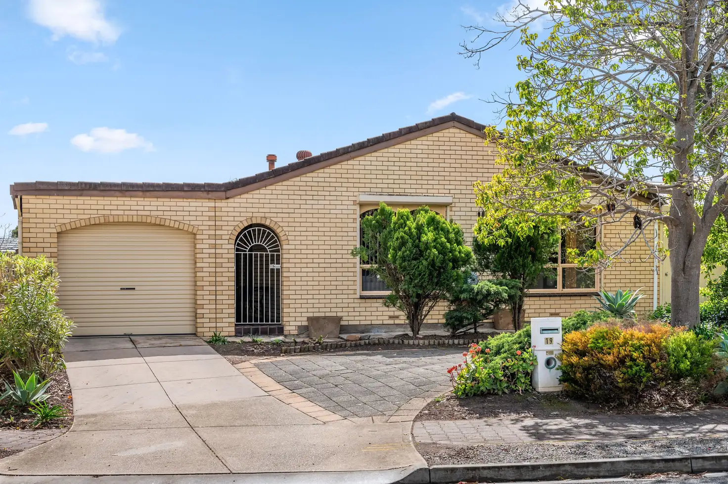 Main view of Homely house listing, 19 Richland Road, Newton SA 5074