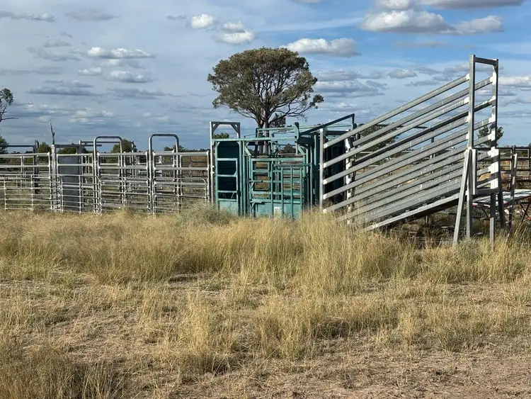 Fifth view of Homely rural property listing, 31850 Cunningham Highway, Goondiwindi QLD 4390