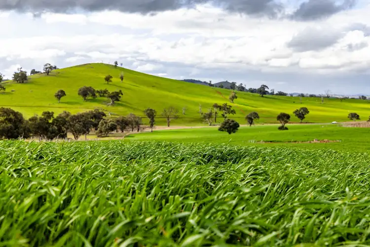 'Darmody's', 969 Brial Road, Boorowa NSW 2586