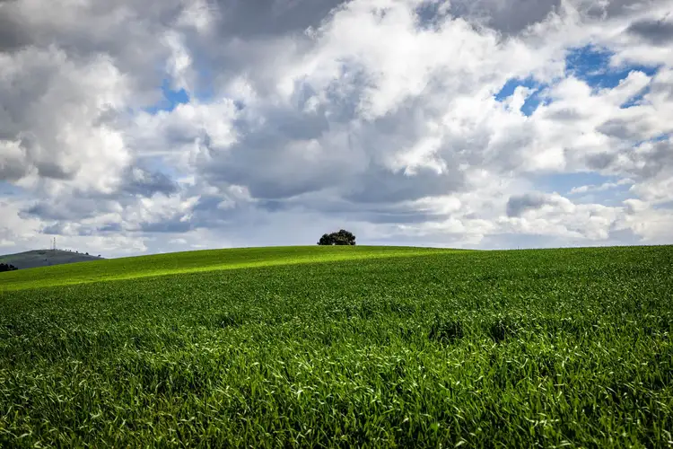 Fourth view of Homely land listing, 'Darmody's', 969 Brial Road, Boorowa NSW 2586