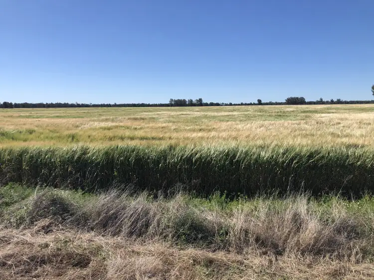 31850 Cunningham Highway, Goondiwindi QLD 4390