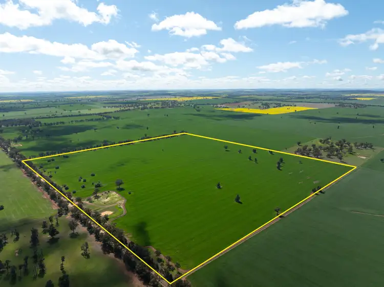 532 Cottee Road, Currawarna NSW 2650