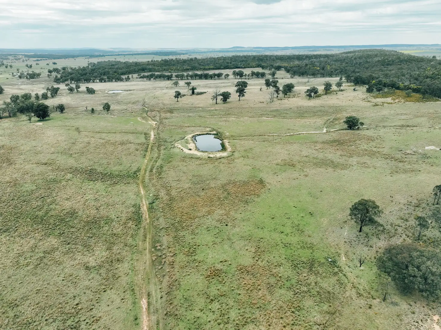 Main view of Homely rural property listing, 13999 Golden Highway, Dunedoo NSW 2844