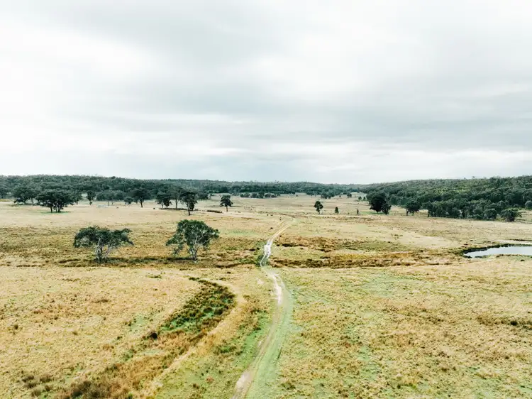 Third view of Homely rural property listing, 13999 Golden Highway, Dunedoo NSW 2844