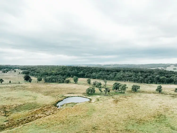 Fourth view of Homely rural property listing, 13999 Golden Highway, Dunedoo NSW 2844