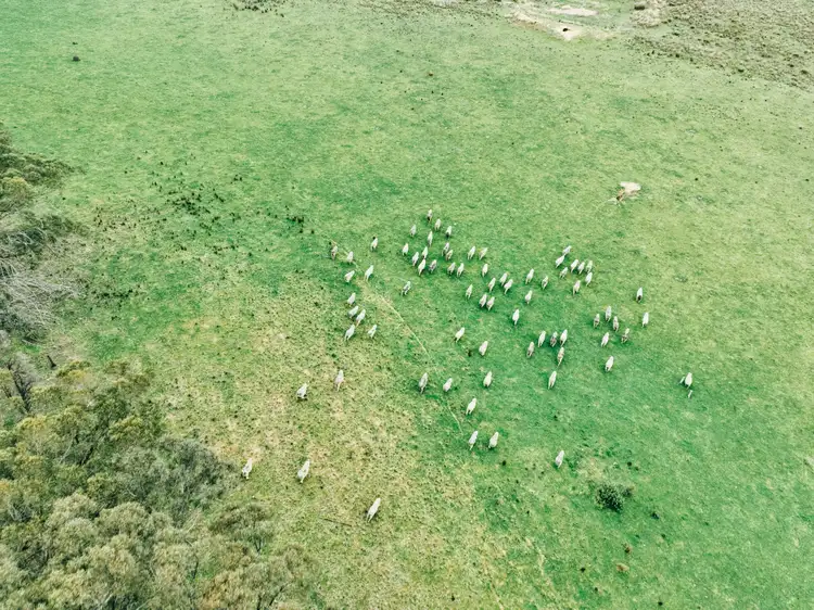 Fifth view of Homely rural property listing, 13999 Golden Highway, Dunedoo NSW 2844