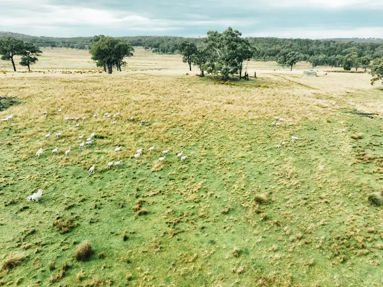 Sixth view of Homely rural property listing, 13999 Golden Highway, Dunedoo NSW 2844