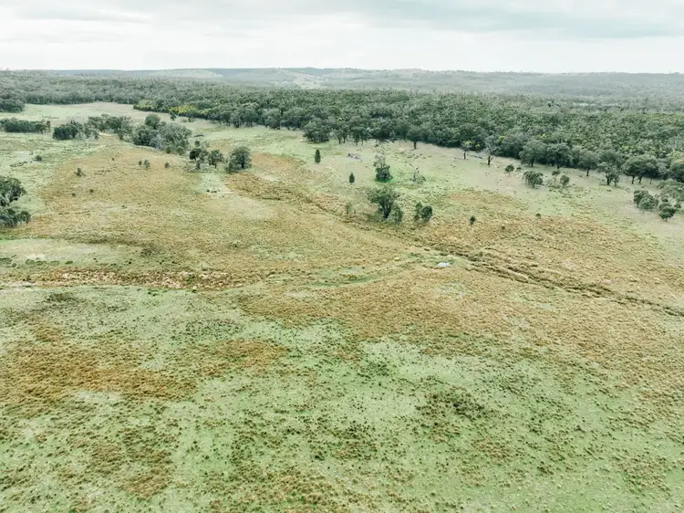 Seventh view of Homely rural property listing, 13999 Golden Highway, Dunedoo NSW 2844