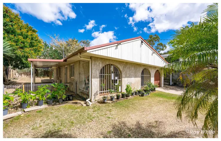 Main view of Homely house listing, 613 Ibis Avenue, Kawana QLD 4701