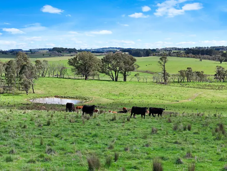Fourth view of Homely rural property listing, 12323 Hume Highway, Sutton Forest NSW 2577