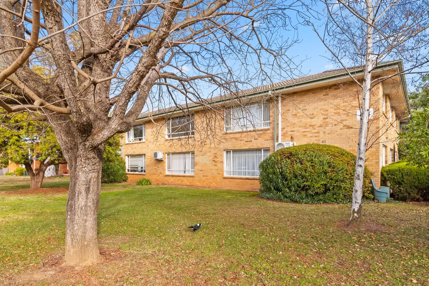 Main view of Homely studio listing, 2/43 Gardiner Street, Downer ACT 2602