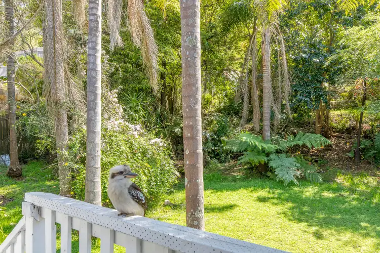Seventh view of Homely house listing, 22 Boree Road, Forestville NSW 2087